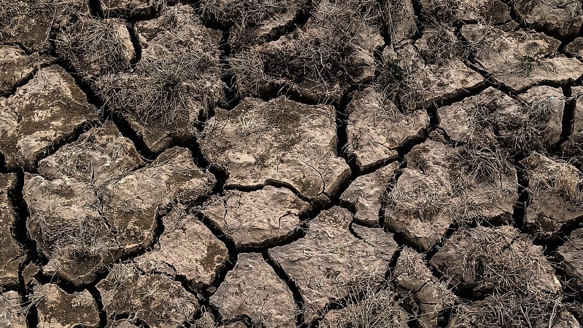 O Cemaden já monitora 1.295 municípios — e tem um índice de risco de seca só para a agricultura familiar