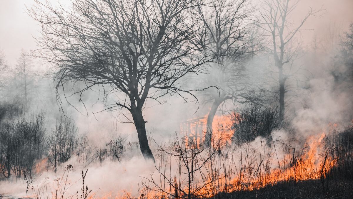 A ciência que diz quando o clima é culpado — e, às vezes, que não é